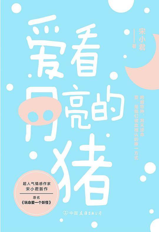 爱看月亮的猪