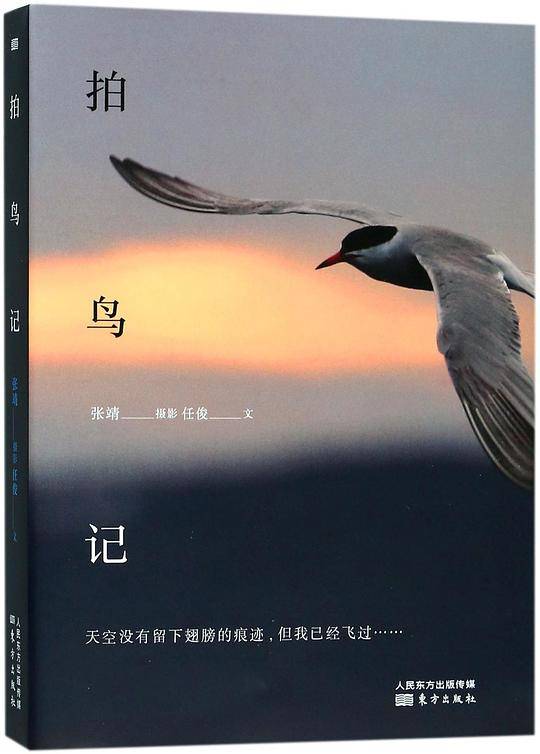 拍鸟记