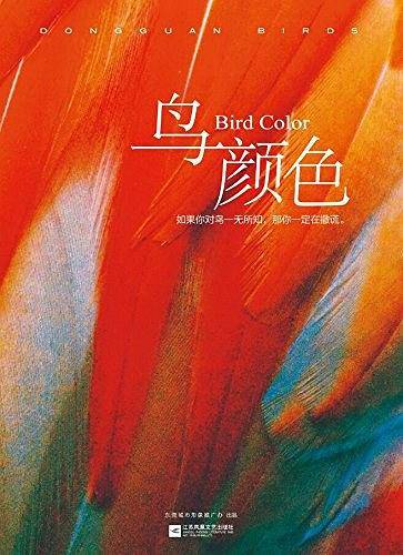 鸟颜色