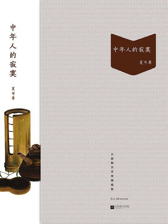 中年人的寂寞