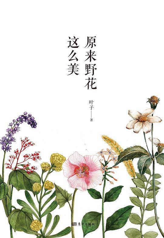 原来野花这么美