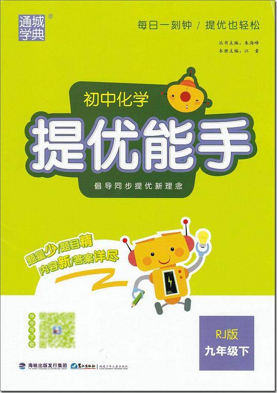 初中化学提优能手九年级下册人教版