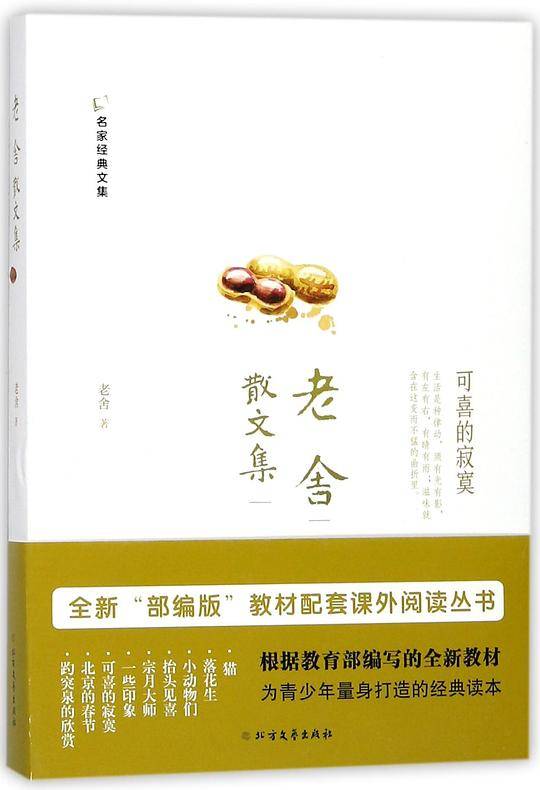 老舍散文集/名家经典文集