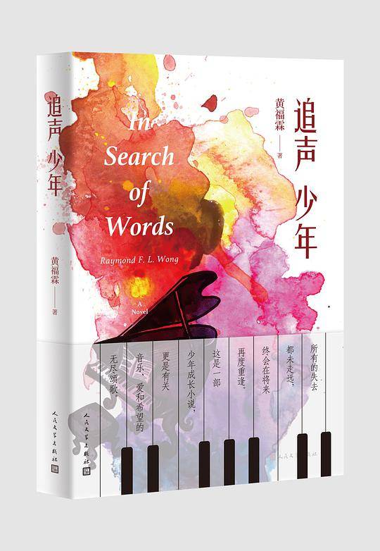 追声少年