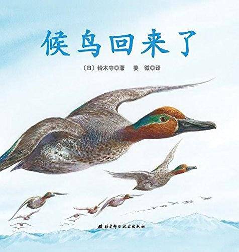 神奇的迁徙之旅・候鸟回来了