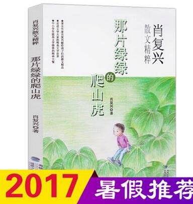 那片绿绿的爬山虎