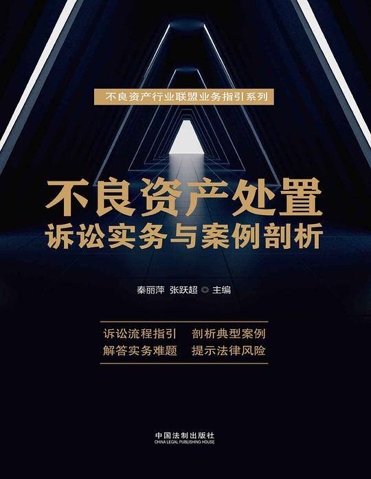 不良资产处置诉讼实务与案例剖析