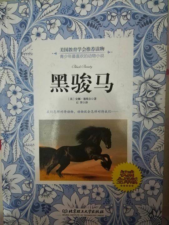 黑骏马
