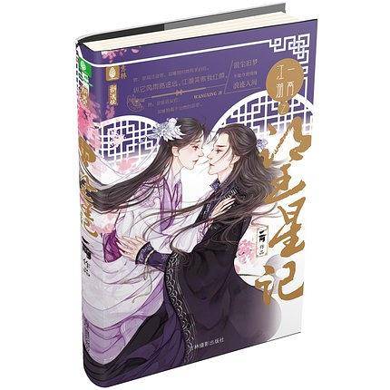 意林新武侠系列--一两江湖之望星记