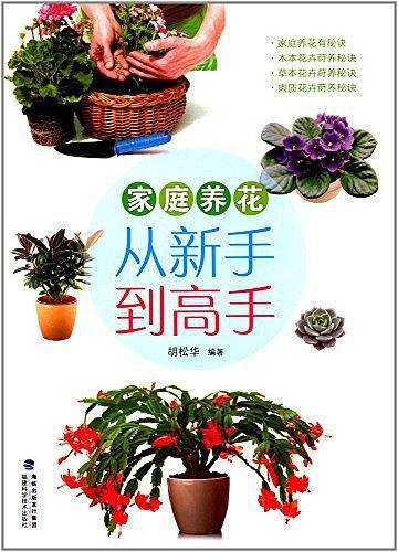 家庭养花