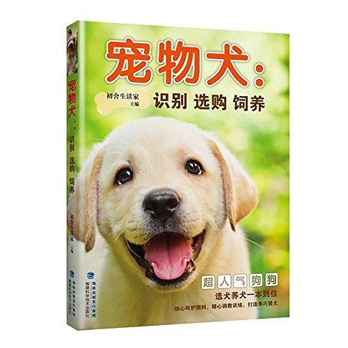 宠物犬