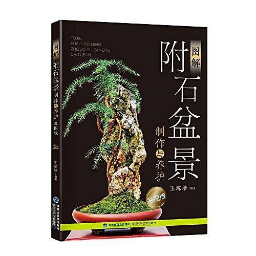 图解附石盆景制作与养护