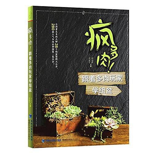 疯多肉！跟着多肉玩家学组盆