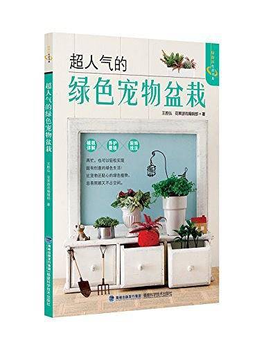 超人气的绿色宠物盆栽
