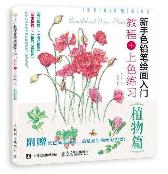 新手色铅笔绘画入门：教程+上色练习（植物篇）