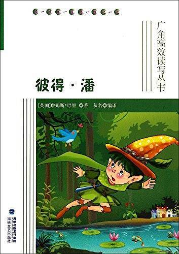 广角高效读写丛书