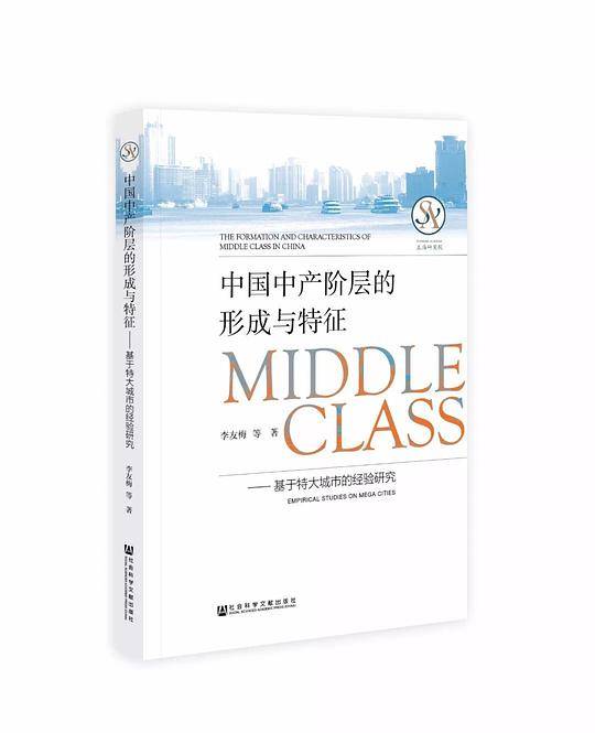 中国中产阶层的形成与特征