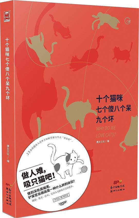 十个猫咪七个傻八个呆九个坏