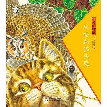 从蛋到猫头鹰