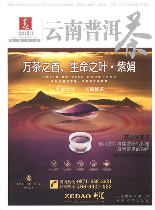 2013云南普洱茶·春