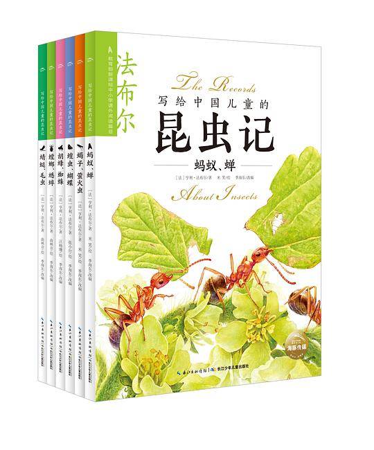 写给中国儿童的昆虫记：全6册