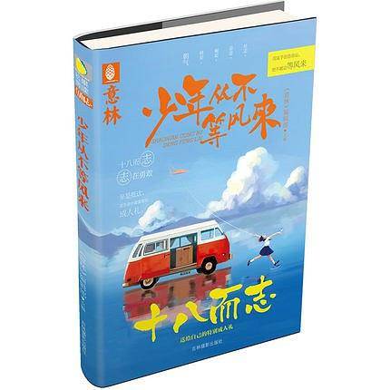 少年从不等风来