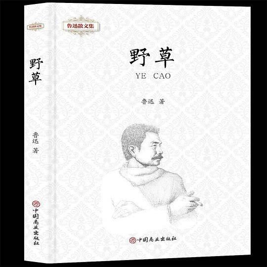 野草(精)/鲁迅散文集
