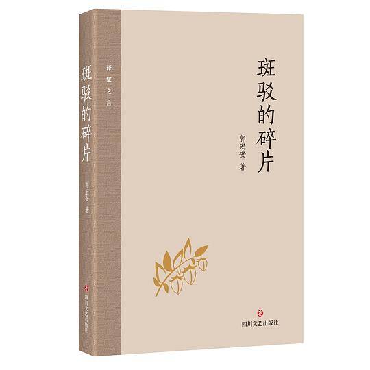 斑驳的碎片