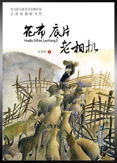 花布底片老相机