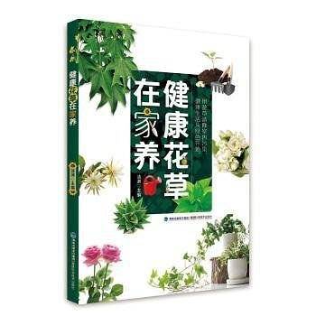 健康花草在家养