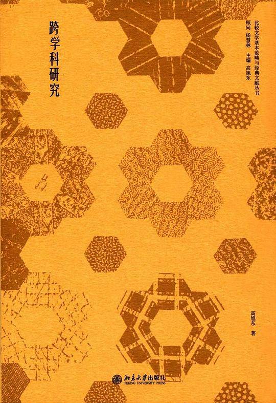 跨学科研究
