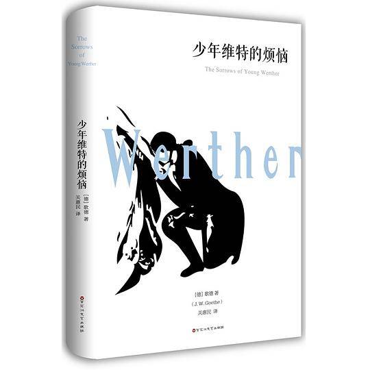 少年维特的烦恼