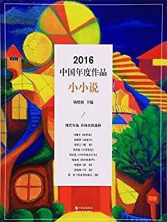 2016中国年度作品·小小说