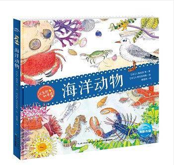 大自然的奇观：海洋动物