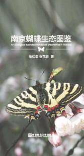 南京蝴蝶生态图鉴