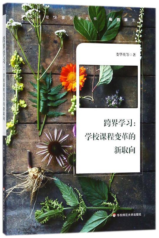 跨界学习：学校课程变革的新取向