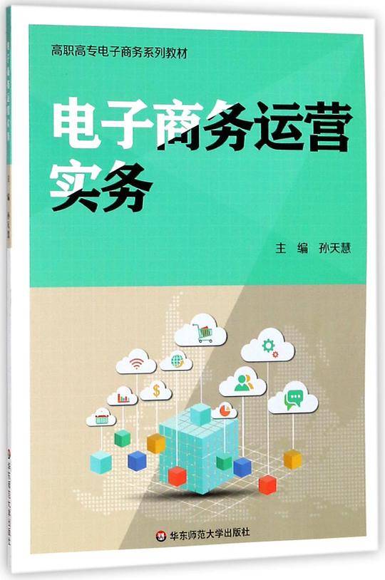 电子商务运营实务(高职高专电子商务系列教材)
