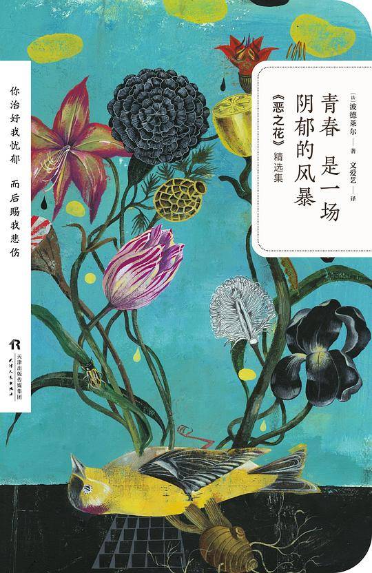 青春 是一场阴郁的风暴