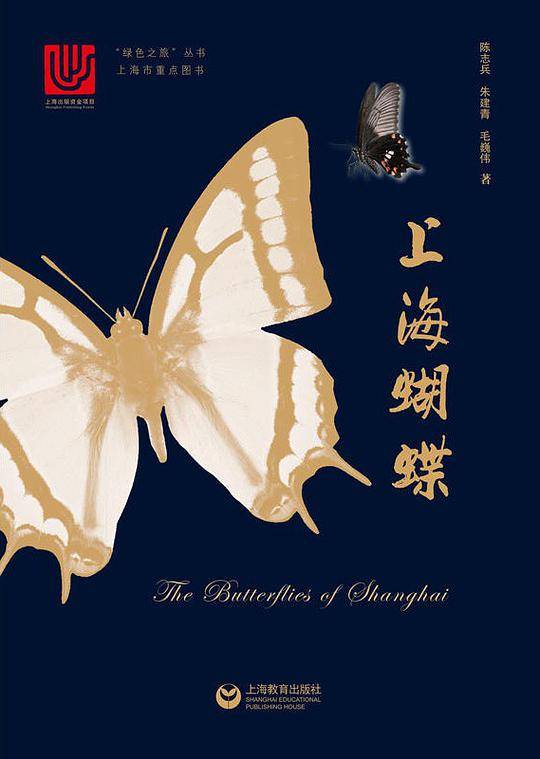 上海蝴蝶