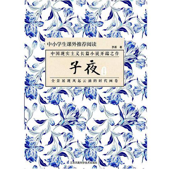子夜中小学生推荐阅读图书/茅盾经典小说代表作
