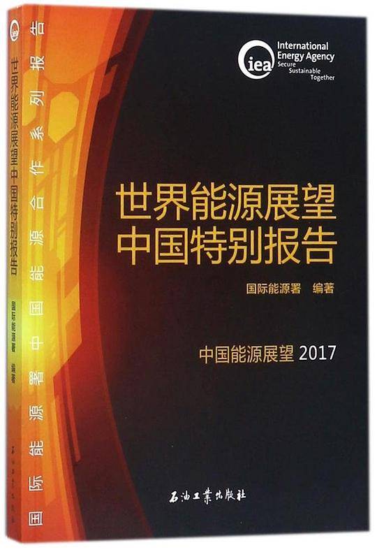 世界能源展望中国特别报告