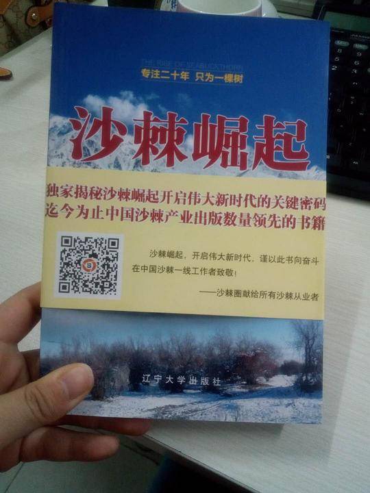 沙棘崛起