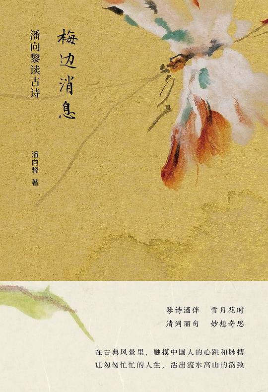 梅边消息