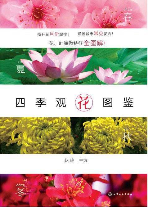 四季观花图鉴