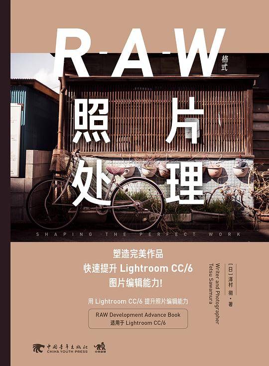 RAW格式照片处理：塑造完美作品