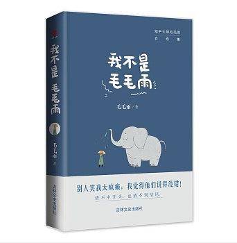 我不是毛毛雨
