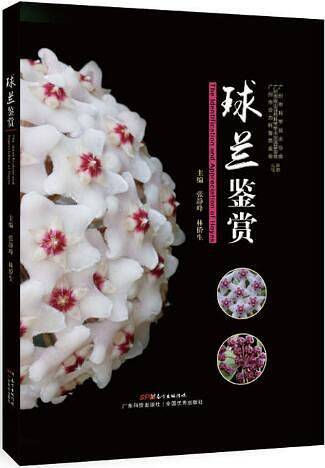 球兰鉴赏