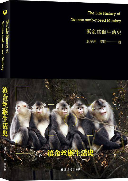 滇金丝猴生活史