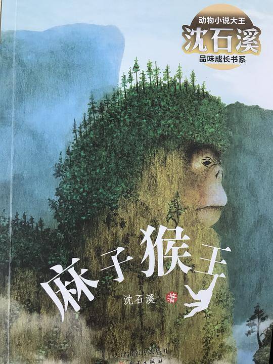 动物小说大王沈石溪品味成长书系·麻子猴王