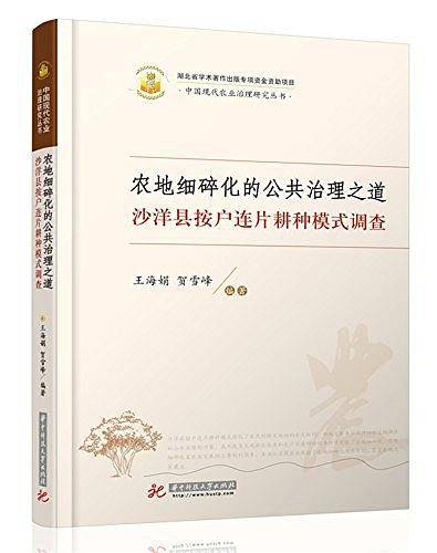 农地细碎化的公共治理之道